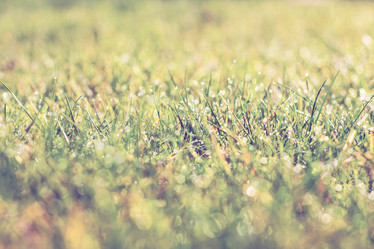 Similar image 12983595