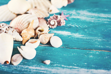 Similar image 12983705