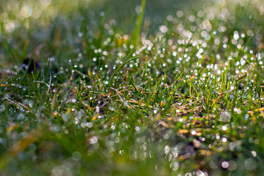 Similar image 12983706