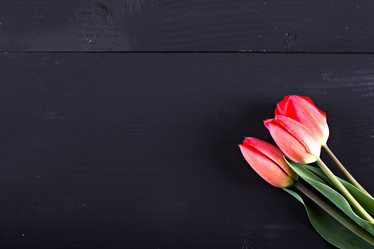 Similar image 12998739