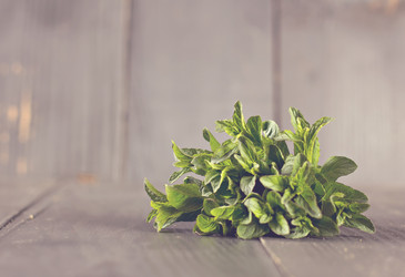 Similar image 12982936