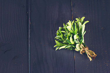 Similar image 12983332