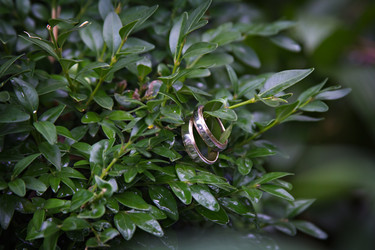 Similar image 12983408