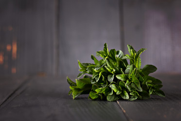 Similar image 12983553