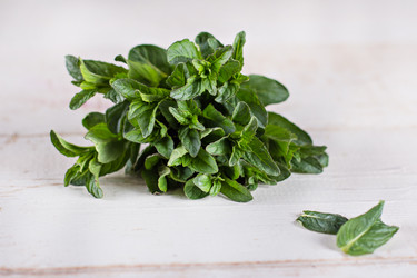 Similar image 12983709