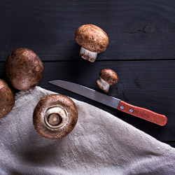 Similar image 12983710