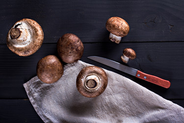 Similar image 12983807