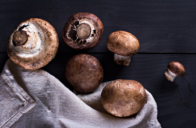 Similar image 12983828