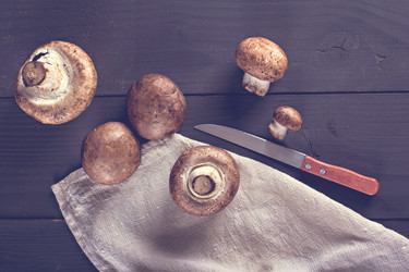 Similar image 12983867