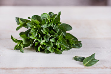 Similar image 12983887