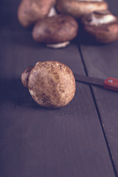 Similar image 12983929