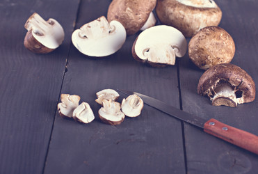 Similar image 12985282