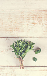 Similar image 12987660