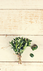 Similar image 12988057