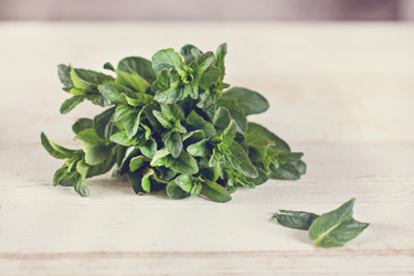 Similar image 12998344