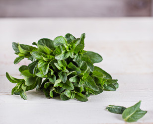 Similar image 12998281