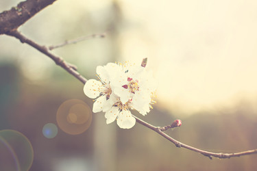 Similar image 12983335