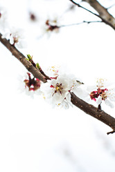 Similar image 12983537