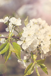 Similar image 12983599