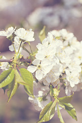 Similar image 12983669