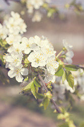 Similar image 12983670