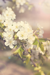 Similar image 12983671