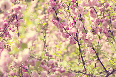 Similar image 12983711