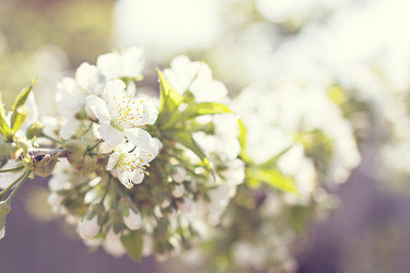 Similar image 12983730