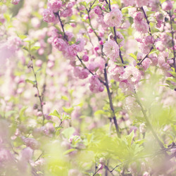 Similar image 12983731