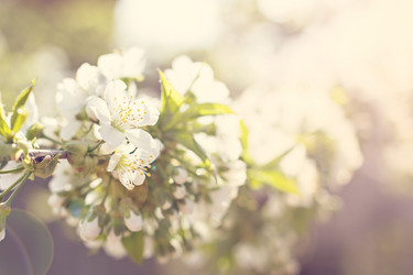 Similar image 12983739