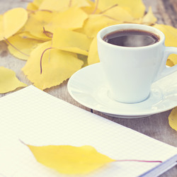 Similar image 12983791