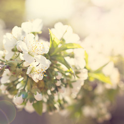 Similar image 12983809