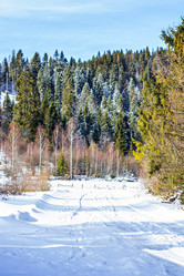 Similar image 12983831