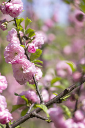 Similar image 12983851