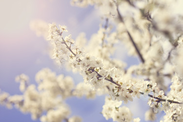 Similar image 12983931