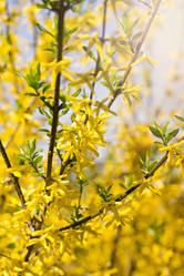 Similar image 12985284