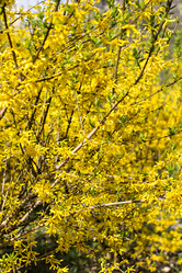 Similar image 12985285