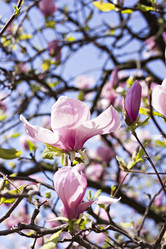 Similar image 12985362