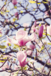 Similar image 12985363