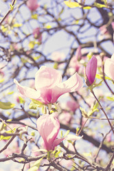 Similar image 12985383