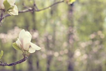 Similar image 12985413