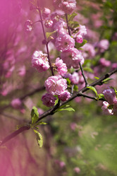 Similar image 12985414