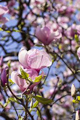 Similar image 12986025