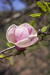 Similar image 12986045