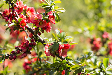 Similar image 12986061