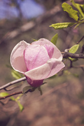 Similar image 12987506