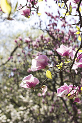 Similar image 12987528