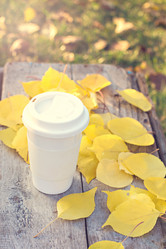 Similar image 12987529