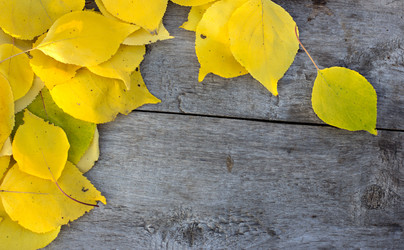 Similar image 12987541