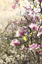 Similar image 12987621